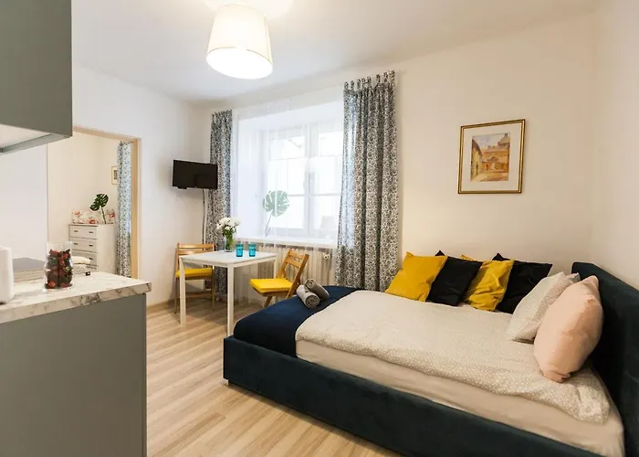 Vintage Krasinskiego 7/4 Apartment